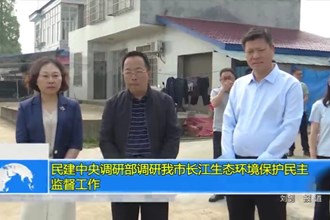 民建中央调研部调研我市长江生态环境保护民主监督工作