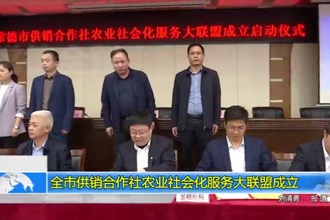 澳门金沙博彩娱乐平台供销合作社农业社会化服务大联盟成立