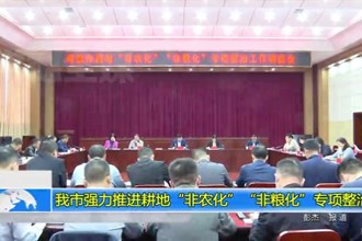 澳门金沙博彩娱乐平台强力推进耕地“非农化”“非粮化”专项整治