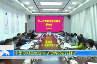 市领导对重点建议办理情况进行督办