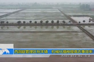 西洞庭管理区祝丰镇：机械化插秧提高农事效率