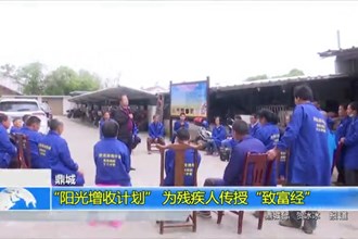 鼎城：“阳光增收计划” 为残疾人传授“致富经”
