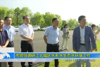 市领导调研江北城区水系水生态水环境工作