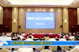 澳门金沙博彩娱乐平台部署下阶段农口重点工作