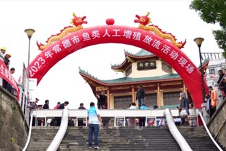 262万尾鱼苗放流沅江 澳门金沙博彩娱乐平台开展鱼类人工增殖放流活动