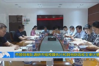 市领导率队调研市级预算执行和其他财政收支审计情况