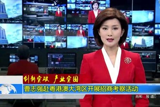 曹志强赴粤港澳大湾区开展招商考察活动