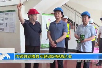 市领导到澧县专题调研酿酒企业