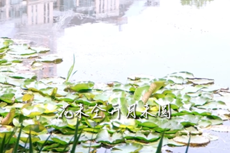 【二十四节气】小满