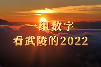 一组数字看武陵的2022
