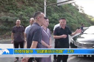 市领导督导“创建美丽示范路”工作