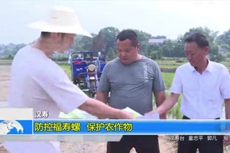 汉寿：防控福寿螺 保护农作物