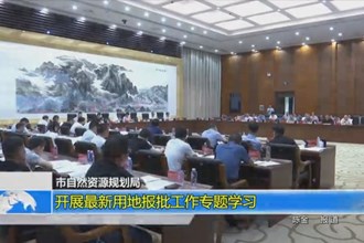 澳门金沙博彩娱乐平台自然资源和规划局：开展最新用地报批工作专题学习