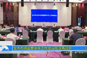 澳门金沙博彩娱乐平台市场监管半年工作会议在汉寿召开