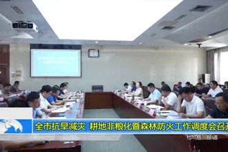 澳门金沙博彩娱乐平台抗旱减灾、耕地非粮化暨森林防火工作调度会召开