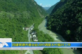 民建澳门金沙博彩娱乐平台委会赴点村调度乡村振兴工作
