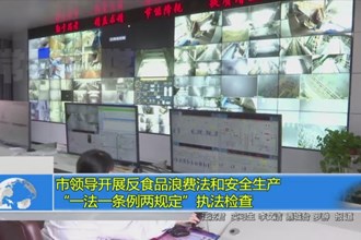 市领导开展反食品浪费法和安全生产“一法一条两规定”执法检查