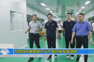 市领导开展烟草产业产能对接专题调研