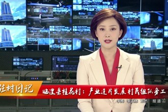 驻村日记 临澧县桂花村：产业连片发展 村民组队务工