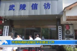 市领导调研武陵区平安建设工作