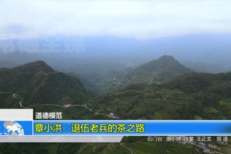 道德模范 覃小洪：退伍老兵的茶之路