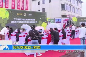 澧县：阳光玫瑰出口泰国
