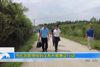市应急管理局非煤矿山科到汉寿开展惠企行动