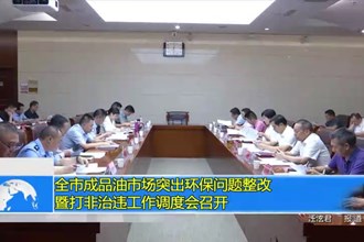 全市成品油市场突出环保问题整改暨打非治违工作调度会召开