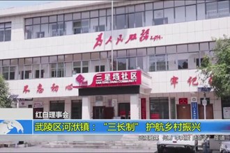 武陵区河洑镇：“三长制”护航乡村振兴