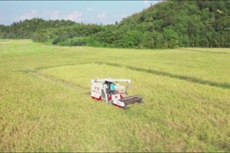 汉寿：秸秆全域全量利用 打发蓝天碧水净土保卫战