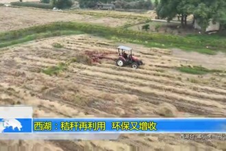 西湖：秸秆再利用 环保又增收