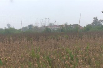 临澧：多举措开展“清网行动” 持续守护鸟类生命线