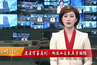 驻村日记 澧县万家岗村：趟出山区发展突围路
