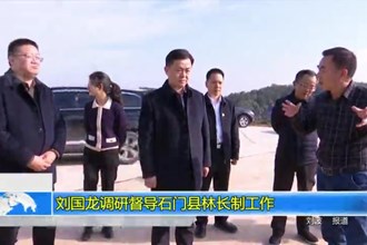 刘国龙调研督导石门县林长制工作