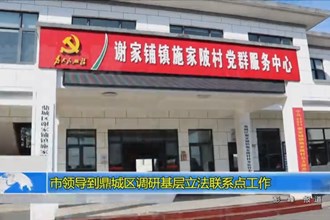 市领导到鼎城区调研基层立法联系点工作