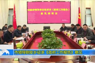 市领导到安乡征求《政府工作报告》意见