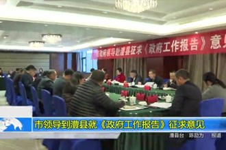 市领导到澧县就《政府工作报告》征求意见