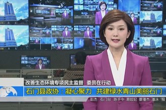 石门县政协：凝心聚力 共建绿水青山美丽石门