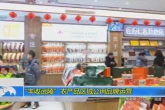 “丰收武陵”农产品区域公用品牌运营