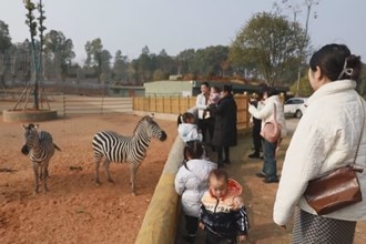 湖南汉寿：游客探访“动物王国” 体验自然之美