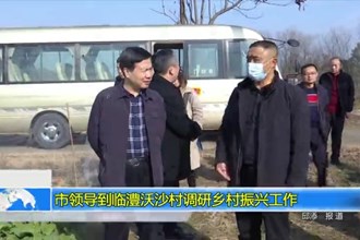 市领导到临澧沃沙村调研乡村振兴工作