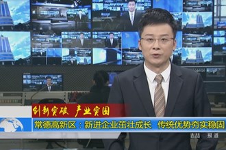 常德高新区：新进企业茁壮成长 传统优势夯实稳固