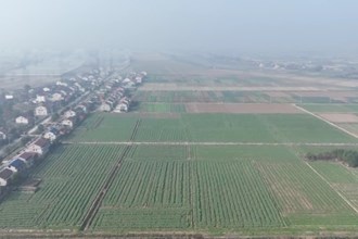 西湖：“小田”变“大田”“粮田”升“良田”