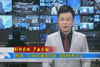 桃源：1166万真金白银 奖励优秀企业