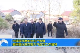 市领导开展安全生产检查暨雨雪冰冻灾害天气应对工作督导