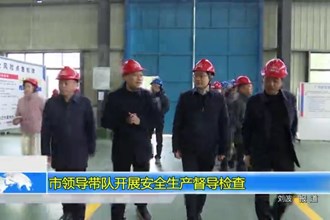 市领导带队开展安全生产督导检查