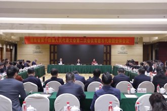 常德代表团集中审议省政府工作报告及其他报告