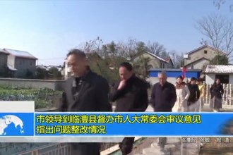 市领导到临澧县督办市人大常委会审议意见指出问题整改情况