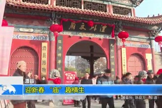 澧县：迎新春 “庙”趣横生