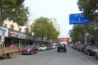 澳门金沙博彩娱乐平台城市道路管理处：清除路障 保安全出行